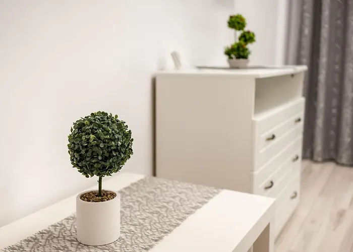 アパート Urban Luxury コンスタンツァ